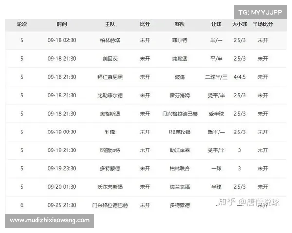 法甲精彩赛事全程网络直播平台推荐与观看指南